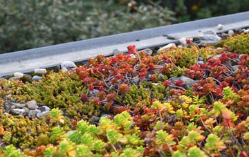 the cost of Releath green roof installation