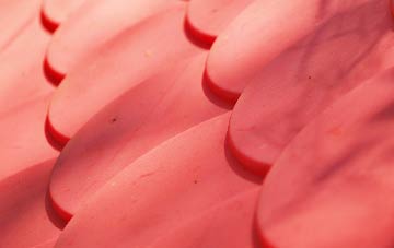 Releath plastic roof costs