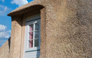 Releath thatch roof disadvantages