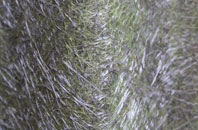 Releath fibreglass roof work